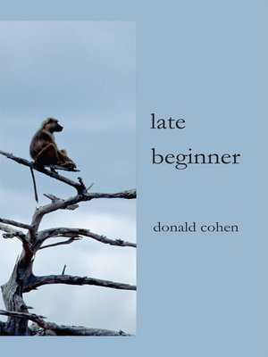 cover image of Late Beginner